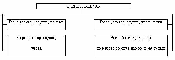 обязанности работника отдела кадров обязанности работника отдела кадров